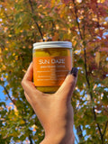Sun Daze Brightening Scrub